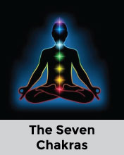 The Seven Chakras